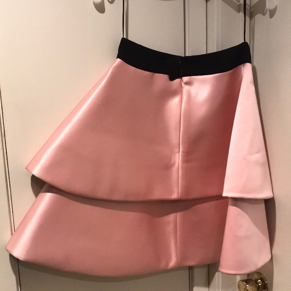 Fausto puglisi pink skirt new $1070 size 42 - Picture 3 of 3